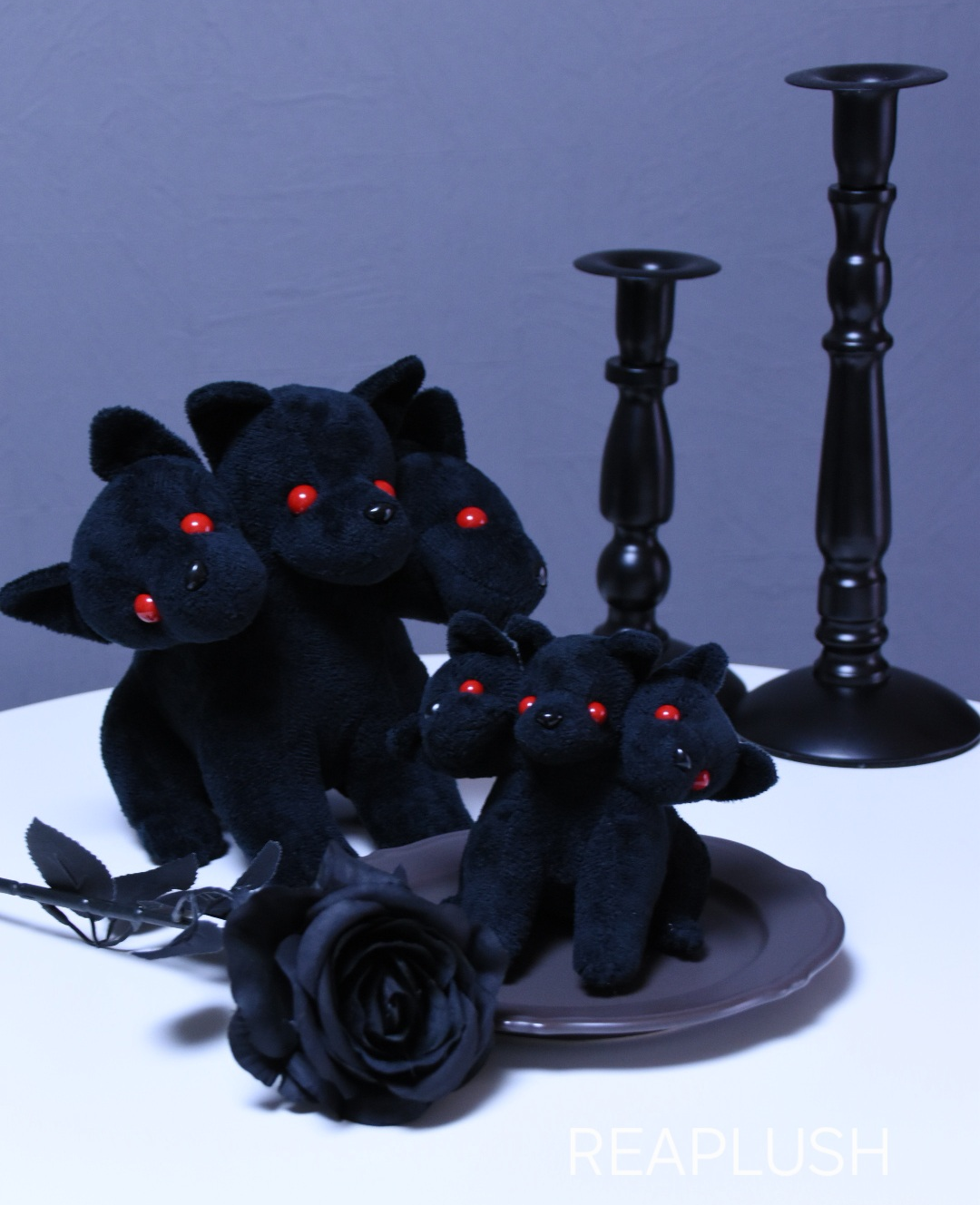 3780a65655364b6e825046912d0f59